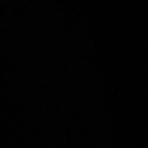 Meet your Posher, Luisa